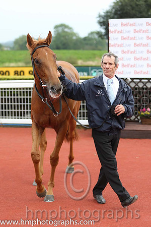 01st Flirt ( 3 , maroon, white star ) and G.P. Halpin (5) - Trainer : David Wachman - Owner : Gigginstown House Stud