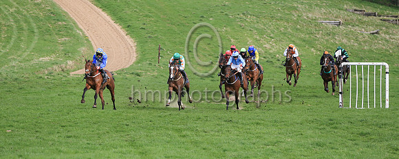 1st Star of Hoiho (24, light bkue and green diamonds) , jockey J W Hendrick