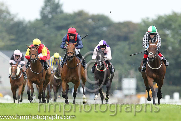 01st Go Kart ( 3 , black  white checks ) and R.P. Downey (5) - Trainer : P.J.Prendergast - Owner : J.P.M.O'Connor