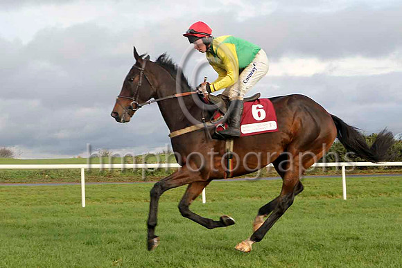 Sizing Europe - Jockey A E Lynch - 2nd - FT8E4716-e2