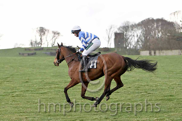 Ounaben & B O'Neill - Fell (11, blue, white chevrons) - FT8E9433-e