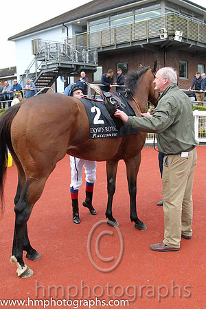 01st Downforce ( 2 , dark blue, light blue stars ) and D.P. McDonogh - Trainer : W. McCreery - Owner : Mrs A.M. Burns