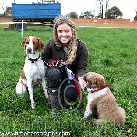 Peita McAlister with her two dogs Crockett an English Pointer and Boo a Saint Bernard Pup at Iveagh Foxhounds Point to Point at Maralin