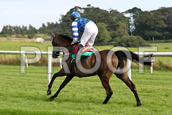 Marvelle Lady 5th, Jockey Mr S Crawford - FT8E3153-e