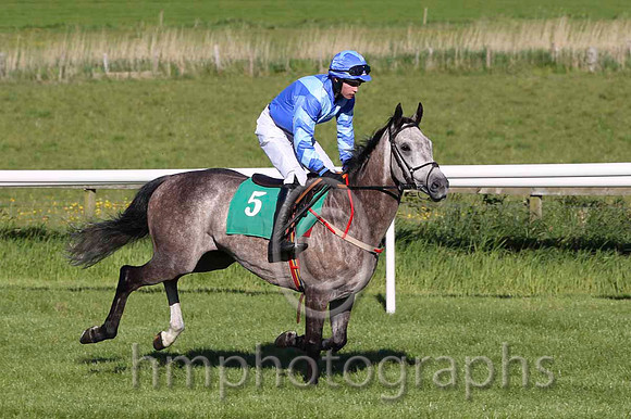 11 Romeo's Bay & D E Splaine - 11th (5, royal blue, light blue chevron) - FT8E6022-16