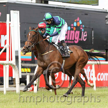 02 Maggie Dalton & R P Whelan - 2nd (9, dark blue and emerald green hoops) & 03 Scatter Dice & F M berry - 3rd (8, dark green, red cap)  - CU2D8048-9