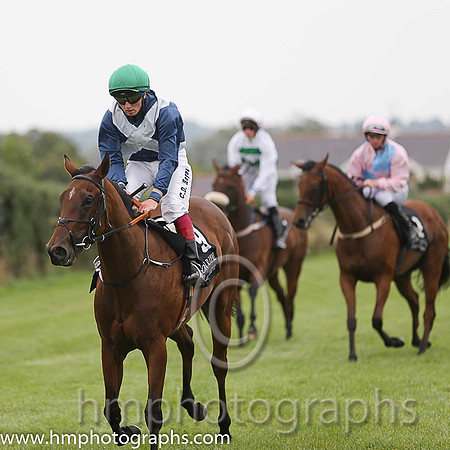 09th The Chazz (GB) ( 9 , dark blue, white cross sashes ) and C.D. Hayes - Trainer : A. Oliver - Owner : Mrs S.M.L Oliver