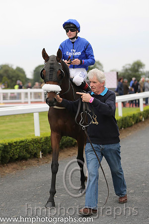 05th Griko ( 4 , royal blue ) and P.J. Smullen - Trainer : D. K. Weld - Owner : Godolphin
