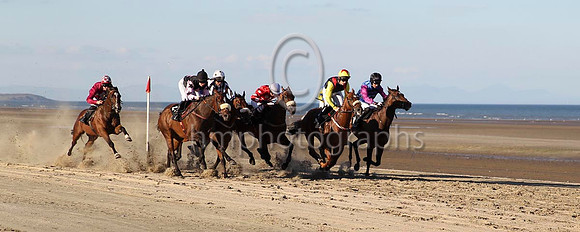 04 Strait of Zanzibar & Mr P W Mullins - 4th (1,royal blue and black chevrons ) - CU2D0763-18