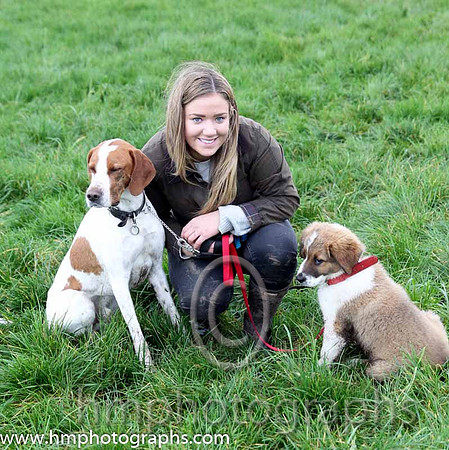 Peita McAlister with her two dogs Crockett an English Pointer and Boo a Saint Bernard Pup at Iveagh Foxhounds Point to Point at Maralin