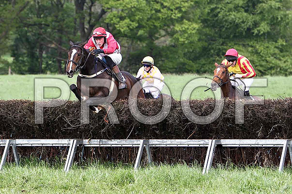 Fifth Race Div 1 - Carlinty (16) Winner, Rider W Thompson, Lady Shirley (6) 3rd, Rider B G Crawford & The Wee Girl (8) 2nd C McNally - CU2D9660-e
