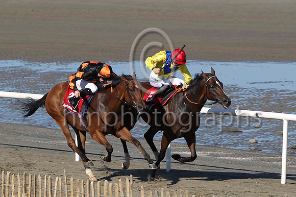 02 - Ucanchoose & D P McDonogh - 2nd (3, black, orange triple diamond ) & Enigma Code & I J McCarthy - winner (5, yellow, royal blue chevron) - FT8E0748-7
