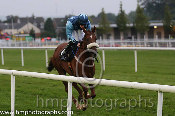 01st dh He'llberemembered ( 6 , dark blue, light blue stars ) and T.P. Madden (5) - Trainer : P.G. Fahey - Owner : Mrs Mary Lett/P.G. Fahey