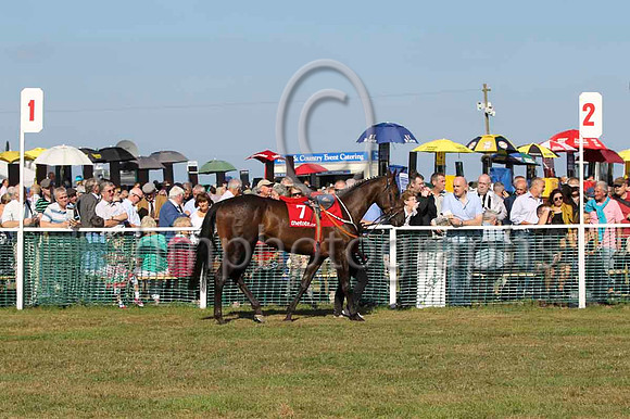 10 - Ellell Duke & E J McNamara - 10th (7, white, royal blue star) - FT8E0735-13