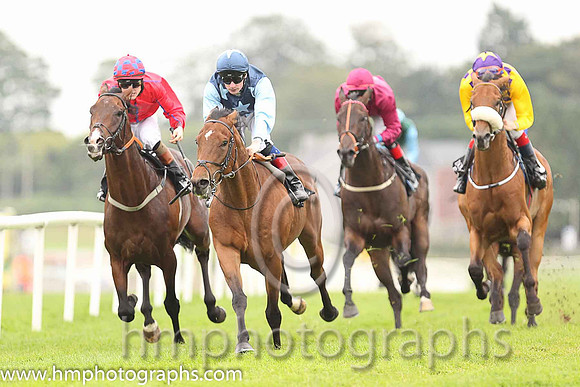 01st Downforce ( 2 , dark blue, light blue stars ) and D.P. McDonogh - Trainer : W. McCreery - Owner : Mrs A.M. Burns