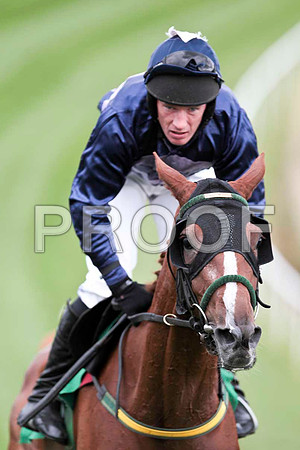 Sally May - 7th, Jockey P Carberry - CU2D9508-e