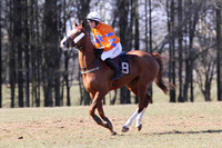 2013/04/02nd - Race 3 East Antrim Hounds Point to Point Races at Loughanmore, Dunadry