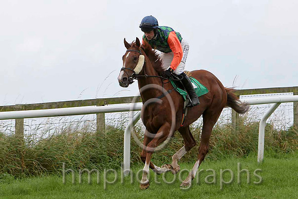 Bluebell Rock , Jockey M Darcy - 8th - CU2D2241-e