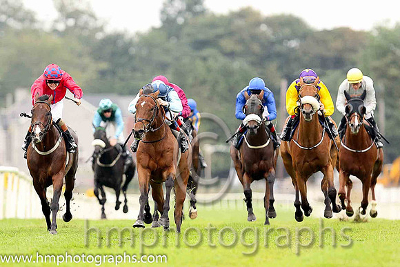 01st Downforce ( 2 , dark blue, light blue stars ) and D.P. McDonogh - Trainer : W. McCreery - Owner : Mrs A.M. Burns