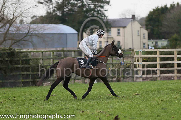 03 Mount Gunnery (GB) ( 3 , grey ) and D.J. Mullins - Trainer : P.A.Fahy - Owner : Clipper Logistics Group Ltd