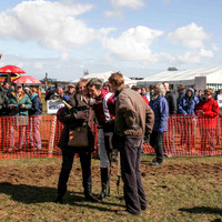 2013/04/02nd - Race 1 East Antrim Hounds Point to Point Races at Loughanmore, Dunadry