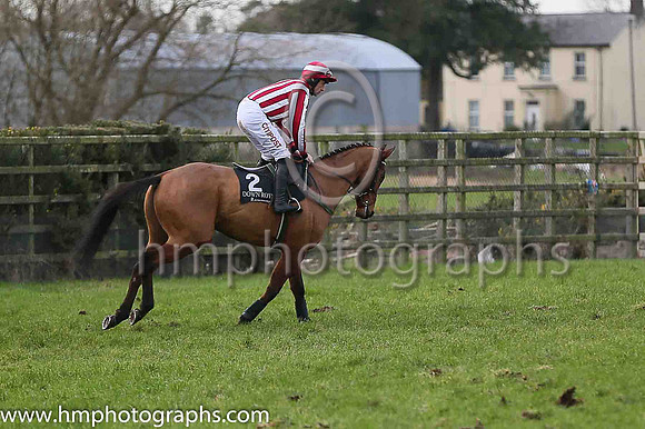02 Futuramic ( 2 , maroon and white stripes ) and D.N. Russell - Trainer : Andrew Lynch - Owner : C.Jones