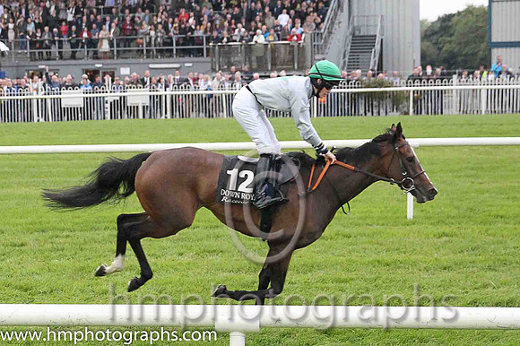09th Elm Grove ( 12 , grey, emerald green diamonds ) and T.P. Madden - Trainer : W. McCreery - Owner : John Malone