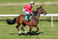 2013/06/07th - Race 3 Downpatrick Racecourse Bring on the weekend