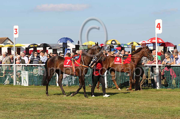 04 - Ellell Duke & E J McNamara - 10th (7, white, royal blue star) & Jembatt & C D Hayes - 4th (8, orange, white braces )-CU2D0737-1