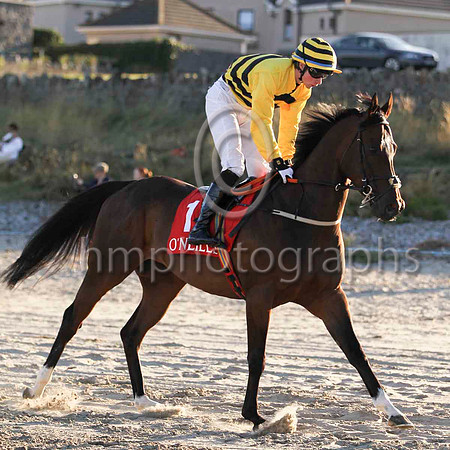 04 Gold Falcon & I J Brennan - 4th (1, yellow and black chevrons) - FT8E0991-12