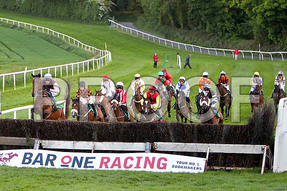 Rose of Fairyhill , 4th, Jockey Mr J T Carroll in the lead at the first - FT8E3166-e2