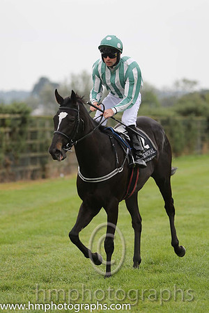 03rd Roc Of Gold ( 12 , dark green and white stripes ) and R.P. Cleary - Trainer : Emmet Mullins - Owner : Mrs. Sandra McCarthy