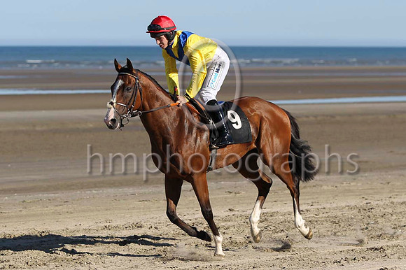 07 Time Travel & I J McCarthy - 7th (9, yellow, royal blue chevron) - FT8E0814-3