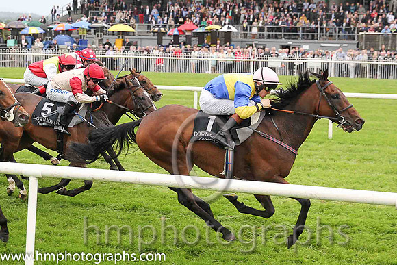 01st Knights Templar ( 1 , royal blue, yellow qtrd ) and G.P. Halpin (5) - Trainer : Patrick J.Flynn - Owner : S.P. Girvan