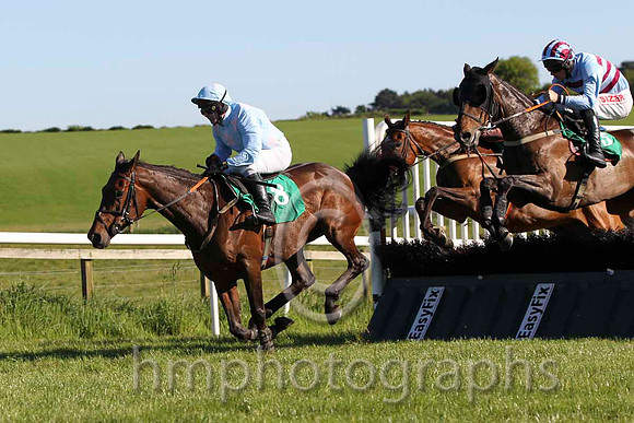 05 Roisib Dubh & D J Casey - 5th (8, light blue, pink stars) - FT8E5964-6
