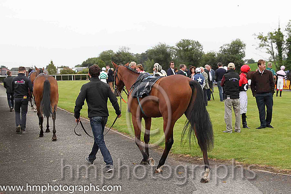 Parade Ring at Down Royal