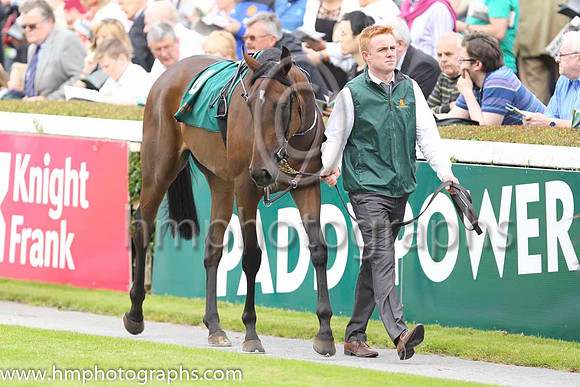 Race 1 at Leopardstown on Champions Day