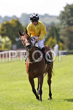 Tipper Road 5th, Jockey J P O'Brien - FT8E1400-e