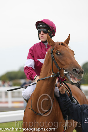 01st Flirt ( 3 , maroon, white star ) and G.P. Halpin (5) - Trainer : David Wachman - Owner : Gigginstown House Stud
