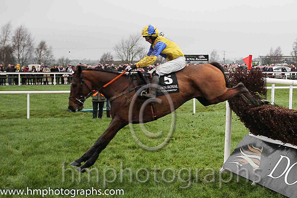 04th Some Drama ( 5 , yellow, royal blue disc ) and C.D. Maxwell (3) - Trainer : Dermot Anthony McLoughlin - Owner : Mrs Anne McDonnell