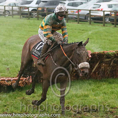 16th Steamboat Quay ( 17 , orange and green hoops ) and N.P. Madden - Trainer : Gordon Elliott - Owner : John P. McManus