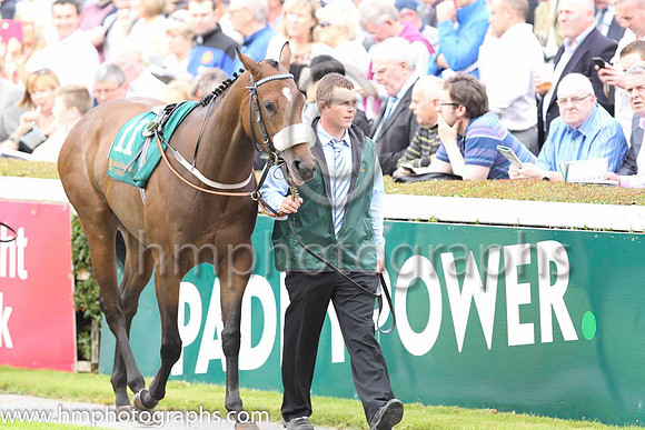 01 Tamadhor and C D Hayes - - 01st (11 ,royal blue, white epaulettes , pink cap ) Trainer - K Prendergast