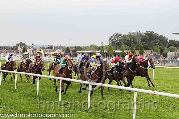 01st Knights Templar ( 1 , royal blue, yellow qtrd ) and G.P. Halpin (5) - Trainer : Patrick J.Flynn - Owner : S.P. Girvan