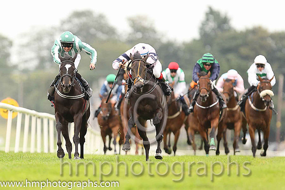 03rd Roc Of Gold ( 12 , dark green and white stripes ) and R.P. Cleary - Trainer : Emmet Mullins - Owner : Mrs. Sandra McCarthy