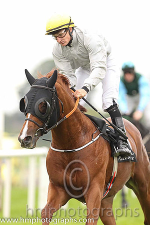 06th Compass Hill (USA) ( 1 , grey, yellow cap ) and S. Foley - Trainer : John Joseph Murphy - Owner : Armada Racing Partnership
