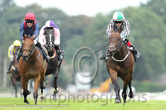 01st Go Kart ( 3 , black & white checks ) and R.P. Downey (5) - Trainer : P.J.Prendergast - Owner : J.P.M.O'Connor