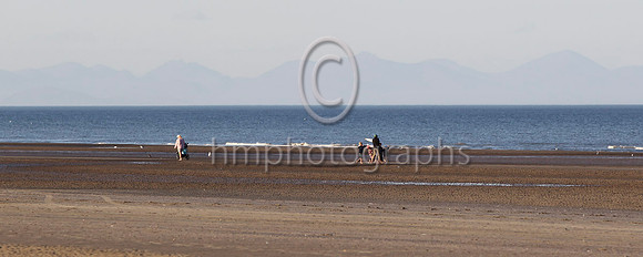 Laytown Races - FT8E1118-33