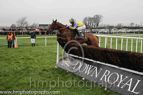 04th Some Drama ( 5 , yellow, royal blue disc ) and C.D. Maxwell (3) - Trainer : Dermot Anthony McLoughlin - Owner : Mrs Anne McDonnell