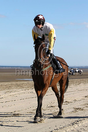 08 Ainm Spartacus & D E Mullins - 8th (1, white, emerald green stars) - FT8E0841-25