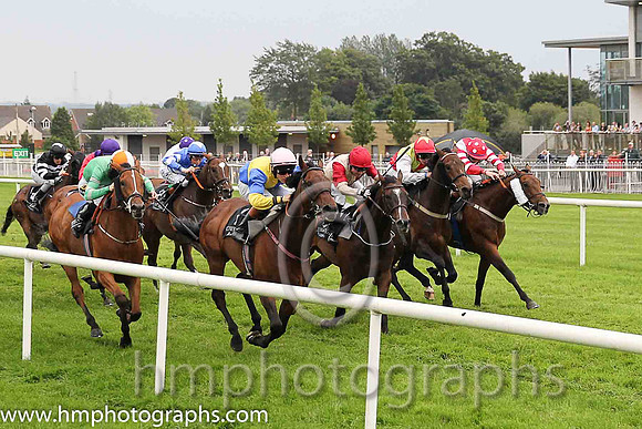 01st Knights Templar ( 1 , royal blue, yellow qtrd ) and G.P. Halpin (5) - Trainer : Patrick J.Flynn - Owner : S.P. Girvan